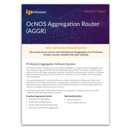 OcNOS Aggregation Router Software