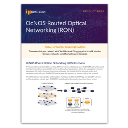 OcNOS Routed Optical Networking (RON)